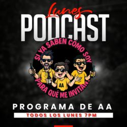Programa De AA
